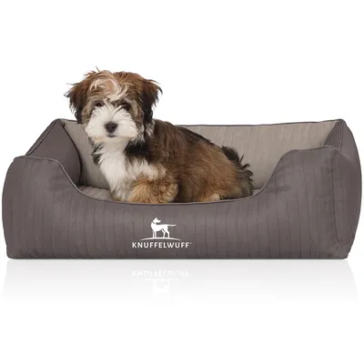 Knuffelwuff Orthopädisches Hundebett Outlander aus Kunstleder