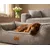 Knuffelwuff Panier orthopédique pour chien Nunavut Knuffelwuff Panier orthopédique pour chien Nunavut
