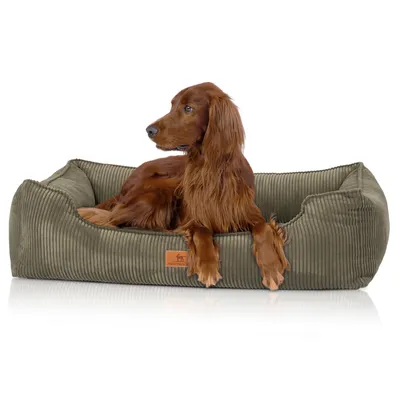 Knuffelwuff Panier orthopédique pour chien Nunavut