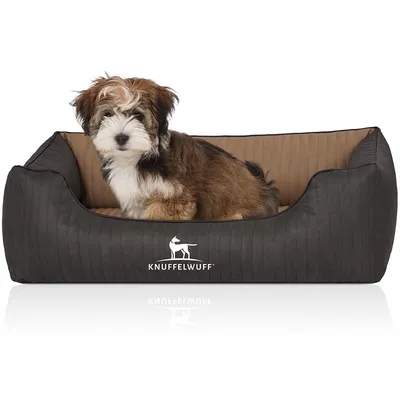 Knuffelwuff Orthopädisches Hundebett Outback aus Kunstleder