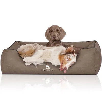 Knuffelwuff Hundebett Scottsdale aus Kunstleder