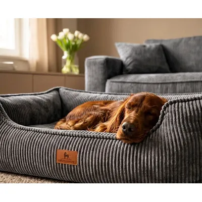 Knuffelwuff Panier orthopédique pour chien Nunavut Knuffelwuff Panier orthopédique pour chien Nunavut