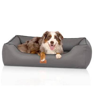 Knuffelwuff Panier orthopédique pour chien Lovelock