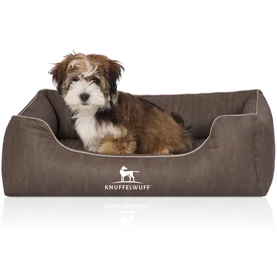 Knuffelwuff Orthopädisches Hundebett Tampa aus laser-gestepptem Kunstleder Knuffelwuff Orthopädisches Hundebett Tampa aus laser-gestepptem Kunstleder