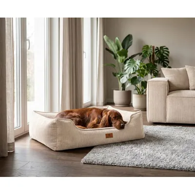Knuffelwuff Panier orthopédique pour chien Nunavut Knuffelwuff Panier orthopédique pour chien Nunavut