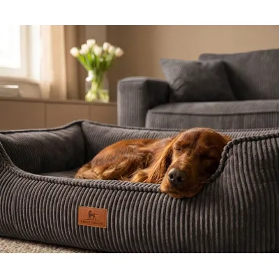 Knuffelwuff Panier orthopédique pour chien Nunavut Knuffelwuff Panier orthopédique pour chien Nunavut