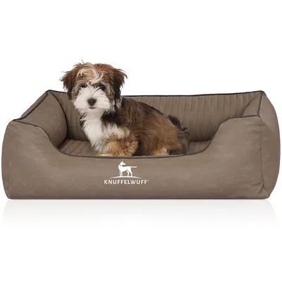 Knuffelwuff Panier orthopédique pour chien Columbia