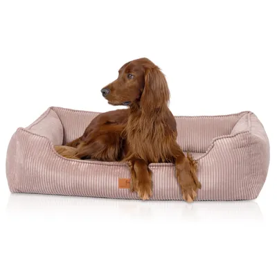 Knuffelwuff Panier orthopédique pour chien Nunavut