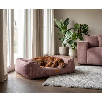 Knuffelwuff Panier orthopédique pour chien Nunavut Knuffelwuff Panier orthopédique pour chien Nunavut