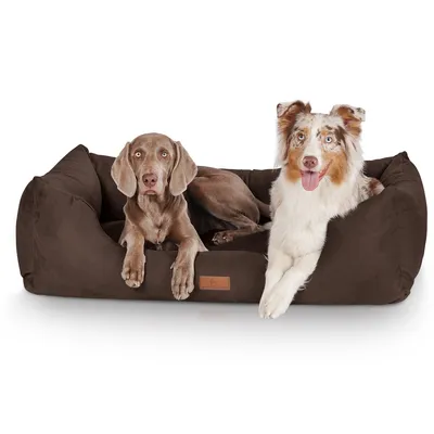 Knuffelwuff Hundebett Dreamline aus Velours