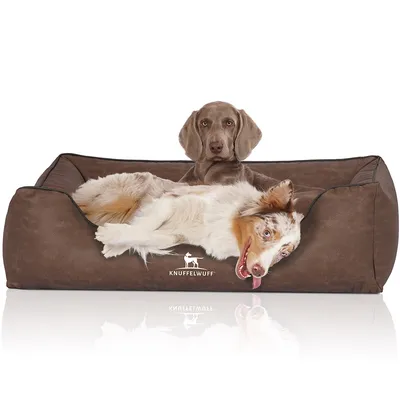 Knuffelwuff Panier pour chien Scottsdale