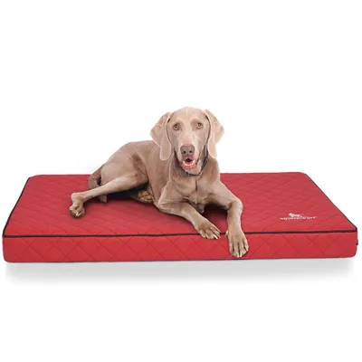 Knuffelwuff Orthopädische Hundematte Juna aus laser-gestepptem Kunstleder Knuffelwuff Orthopädische Hundematte Juna aus laser-gestepptem Kunstleder