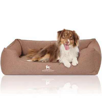 Knuffelwuff Panier orthopédique pour chien Leano