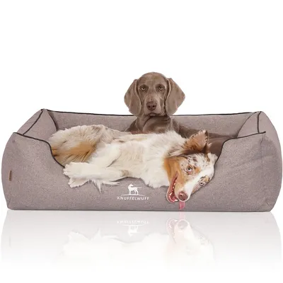 Knuffelwuff Panier orthopédique pour chien Wippo