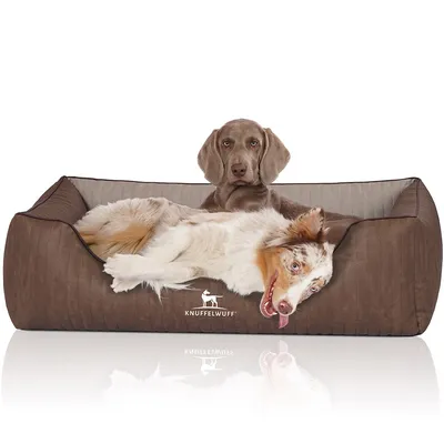Knuffelwuff Orthopädisches Hundebett Outlander aus Kunstleder Knuffelwuff Orthopädisches Hundebett Outlander aus Kunstleder