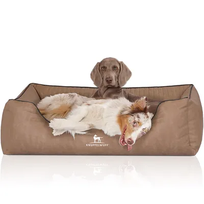 Knuffelwuff Orthopädisches Hundebett Tampa aus laser-gestepptem Kunstleder Knuffelwuff Orthopädisches Hundebett Tampa aus laser-gestepptem Kunstleder
