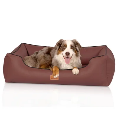 Knuffelwuff Panier orthopédique pour chien Montana
