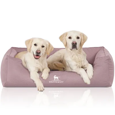 Knuffelwuff Panier pour chien orthopédique et hydrofuge Leon