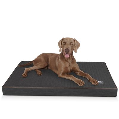 Knuffelwuff Tapis pour chien orthopédique Palomino