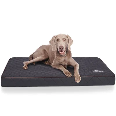 Knuffelwuff Orthopädische Hundematte Juna aus laser-gestepptem Kunstleder Knuffelwuff Orthopädische Hundematte Juna aus laser-gestepptem Kunstleder