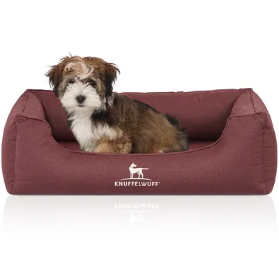 Knuffelwuff Panier pour chien orthopédique et hydrofuge Leon Knuffelwuff Panier pour chien orthopédique et hydrofuge Leon