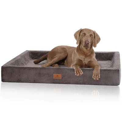 Knuffelwuff Panier orthopédique pour chien Santiago