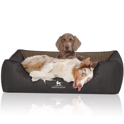 Knuffelwuff Panier orthopédique pour chien Outback