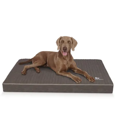 Knuffelwuff Tapis pour chien orthopédique Palomino