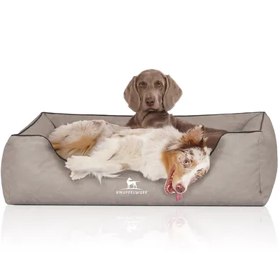 Knuffelwuff Panier pour chien Scottsdale