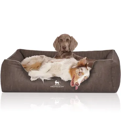 Knuffelwuff Orthopädisches Hundebett Tampa aus laser-gestepptem Kunstleder Knuffelwuff Orthopädisches Hundebett Tampa aus laser-gestepptem Kunstleder