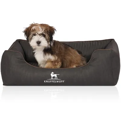 Knuffelwuff Orthopädisches Hundebett Tampa aus laser-gestepptem Kunstleder Knuffelwuff Orthopädisches Hundebett Tampa aus laser-gestepptem Kunstleder