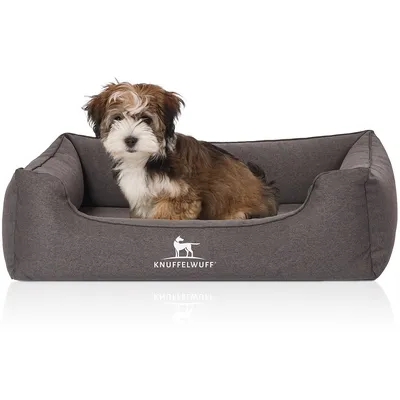Knuffelwuff Panier orthopédique pour chien Leano