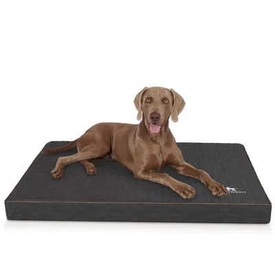 Knuffelwuff Tapis pour chien orthopédique Palomino Knuffelwuff Tapis pour chien orthopédique Palomino