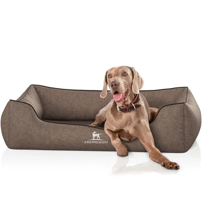 Knuffelwuff Panier orthopédique pour chien Amelie Knuffelwuff Panier orthopédique pour chien Amelie