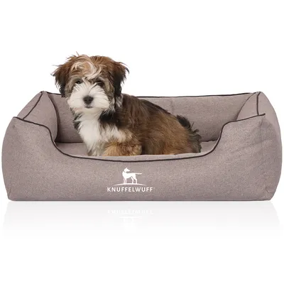 Knuffelwuff Panier orthopédique pour chien Wippo