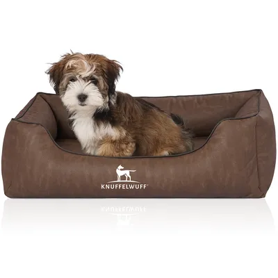 Knuffelwuff Orthopädisches Hundebett Rockland aus Kunstleder Knuffelwuff Orthopädisches Hundebett Rockland aus Kunstleder