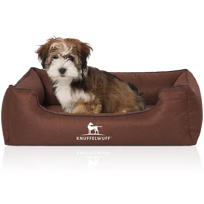 Knuffelwuff Panier orthopédique pour chien Wippo