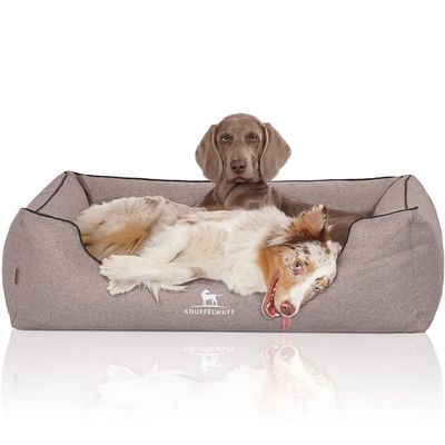 Knuffelwuff Panier orthopédique pour chien Wippo
