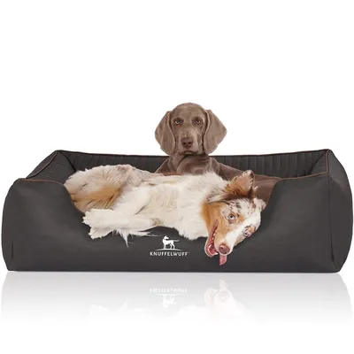 Knuffelwuff Panier orthopédique pour chien Columbia