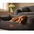 Knuffelwuff Panier orthopédique pour chien Nunavut Knuffelwuff Panier orthopédique pour chien Nunavut