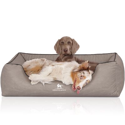 Knuffelwuff Panier orthopédique pour chien Columbia