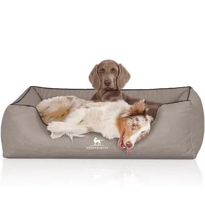 Knuffelwuff Panier orthopédique pour chien Columbia