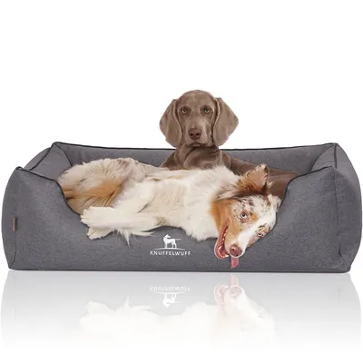 Knuffelwuff Panier orthopédique pour chien Wippo