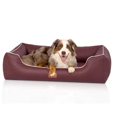 Knuffelwuff orthopädisches Hundebett aus Kunstleder Lovelock Knuffelwuff orthopädisches Hundebett aus Kunstleder Lovelock