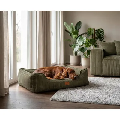 Knuffelwuff Panier orthopédique pour chien Nunavut Knuffelwuff Panier orthopédique pour chien Nunavut