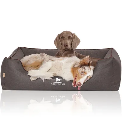 Knuffelwuff Panier orthopédique pour chien Wippo