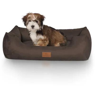 Knuffelwuff Hundebett Dreamline aus Velours Knuffelwuff Hundebett Dreamline aus Velours