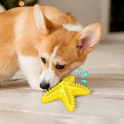 MCBOSON Jouet en TPR pour chien