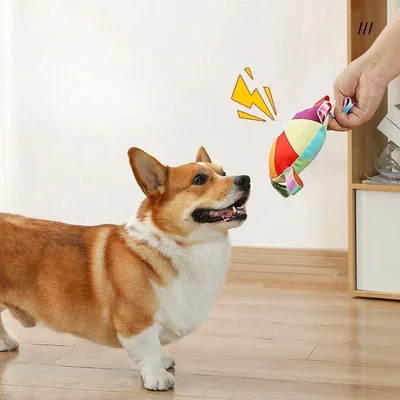 MCBOSON Hunde-Frisbee mit integrierter Glocke MCBOSON Hunde-Frisbee mit integrierter Glocke