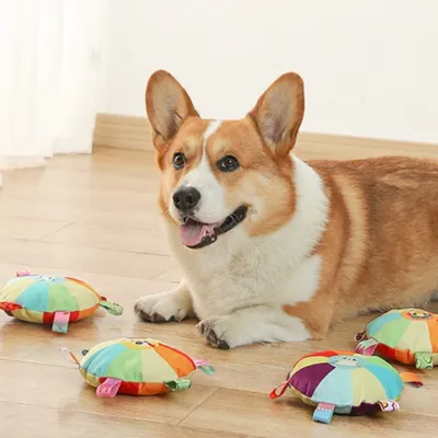 MCBOSON Jouet frisbee pour chien - Clochette intégrée